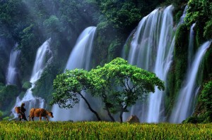 Ban Gioc Waterfall