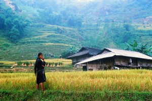 Sapa trekking tour