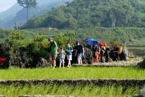 Sapa trekking tour