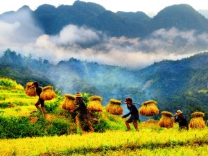 Sapa trekking tour