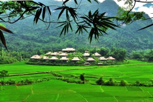 Mai Chau