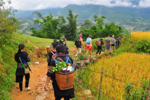 Sapa-Trekking