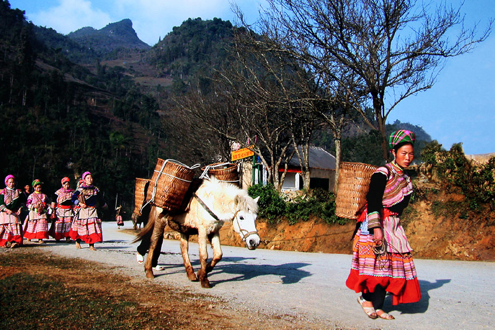 Sapa tour