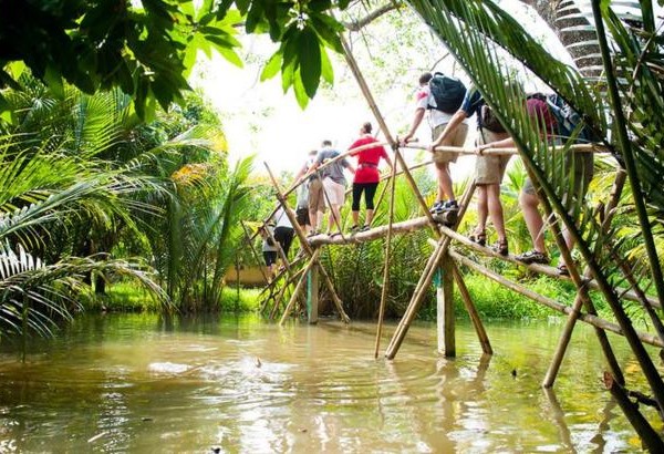 Monkey bridge