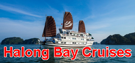 Halong Cruises