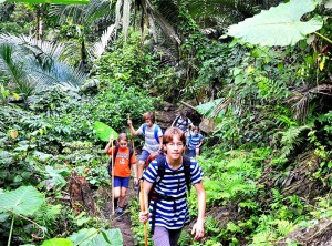 Trekking-in-babe-national-park