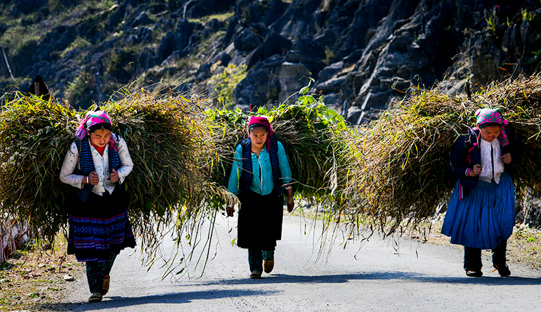 ha-giang