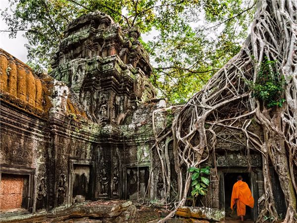 Ta Prohm