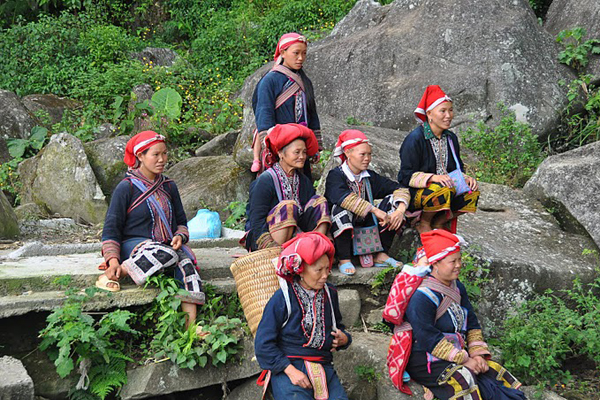 Sapa Trekking