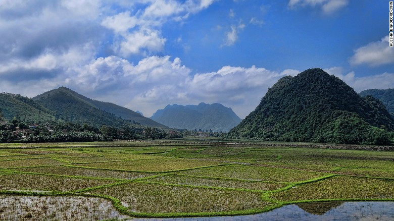 phong-nha-rice-fields