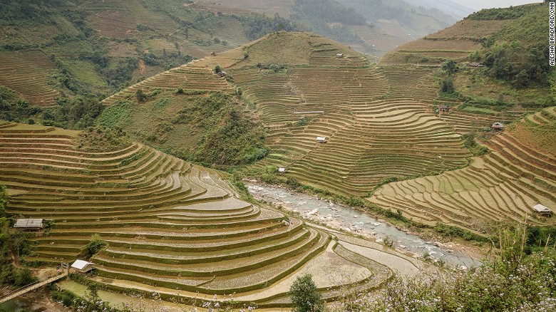 than-yen-rice-terraces