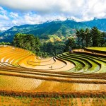 sapa-mu-cang-chai-tour