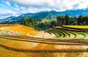 sapa-mu-cang-chai-tour