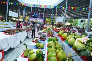 Fruit Festival 2017