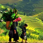 sapa-halong-bay-tour-4-days