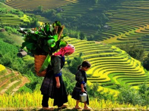 sapa-halong-bay-tour-4-days